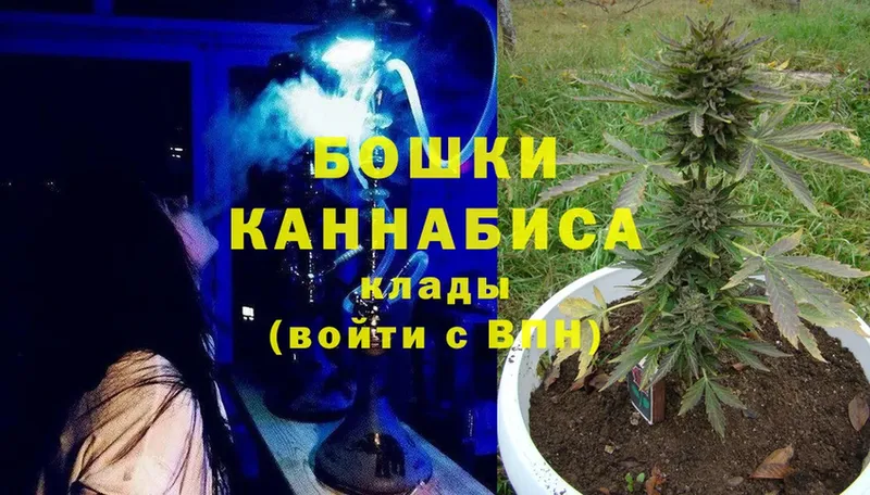 Конопля конопля  Вязники 